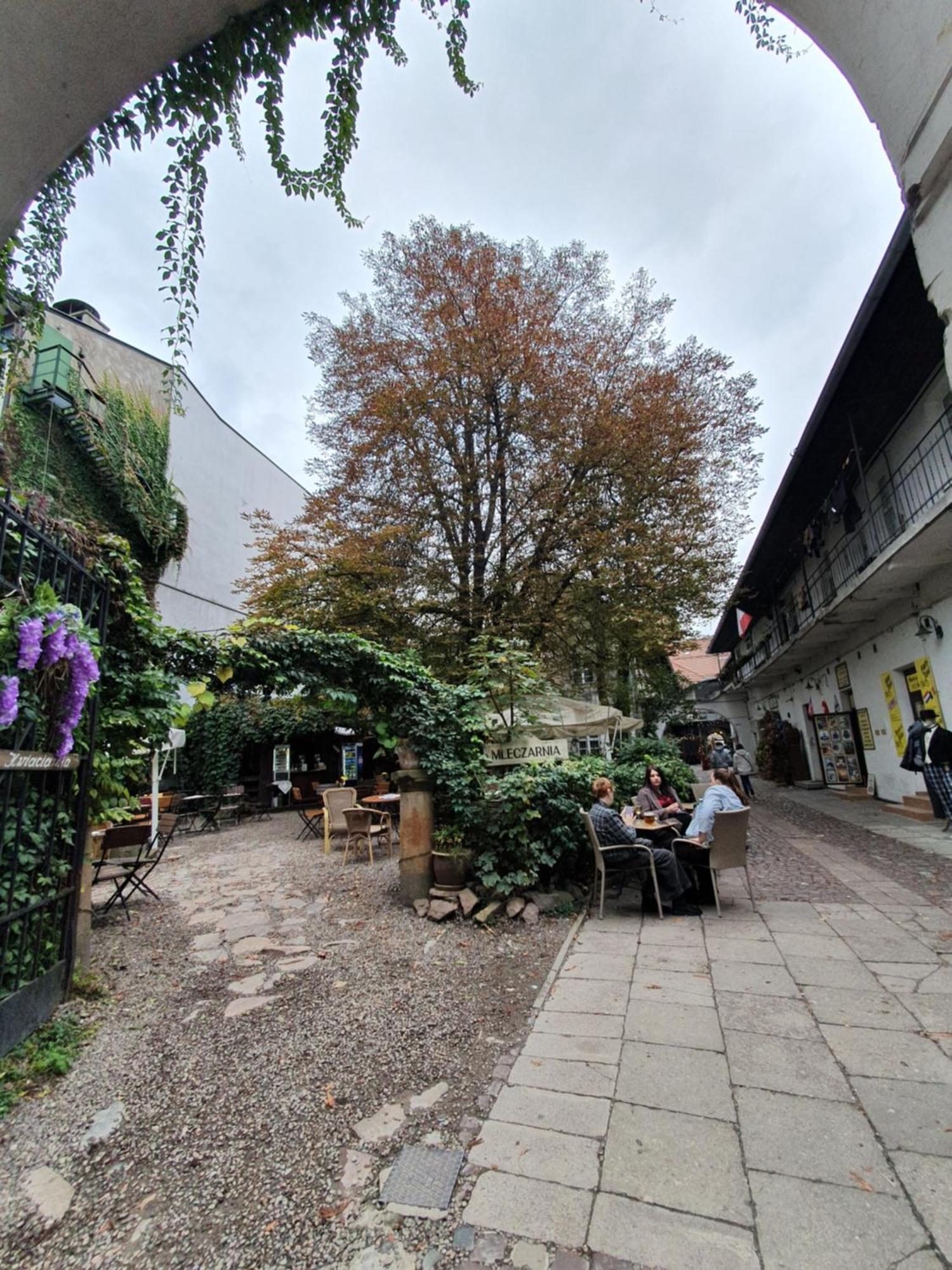 B-4 Krakow Stary Kazimierz O&P Apartfamily المظهر الخارجي الصورة